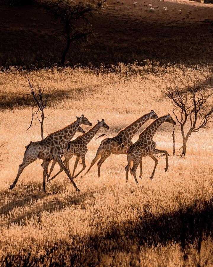 Hardap Bagatelle Kalahari Game Ranch 빌라 외부 사진