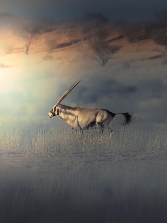 Hardap Bagatelle Kalahari Game Ranch 빌라 외부 사진